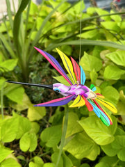 Hand-Carved Alebrije Hummingbird — No. 11