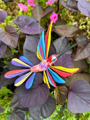 Hand-Carved Alebrije Hummingbird — No. 38
