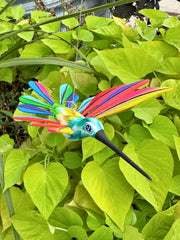 Hand-Carved Alebrije Hummingbird — No. 43